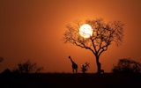 South Africa Travel photos
