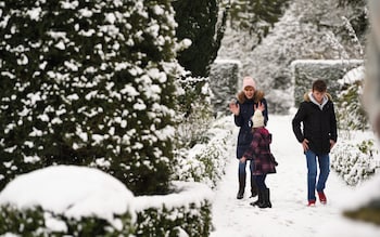 Gardening in December: what to plant and tidy in your garden this month