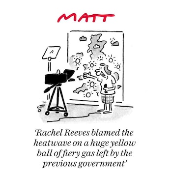 Matt cartoon, July 30
