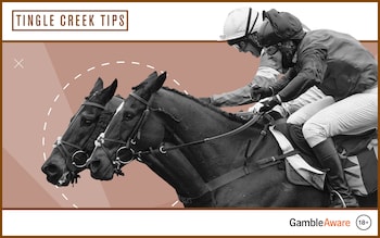 Tingle Creek – odds and tips